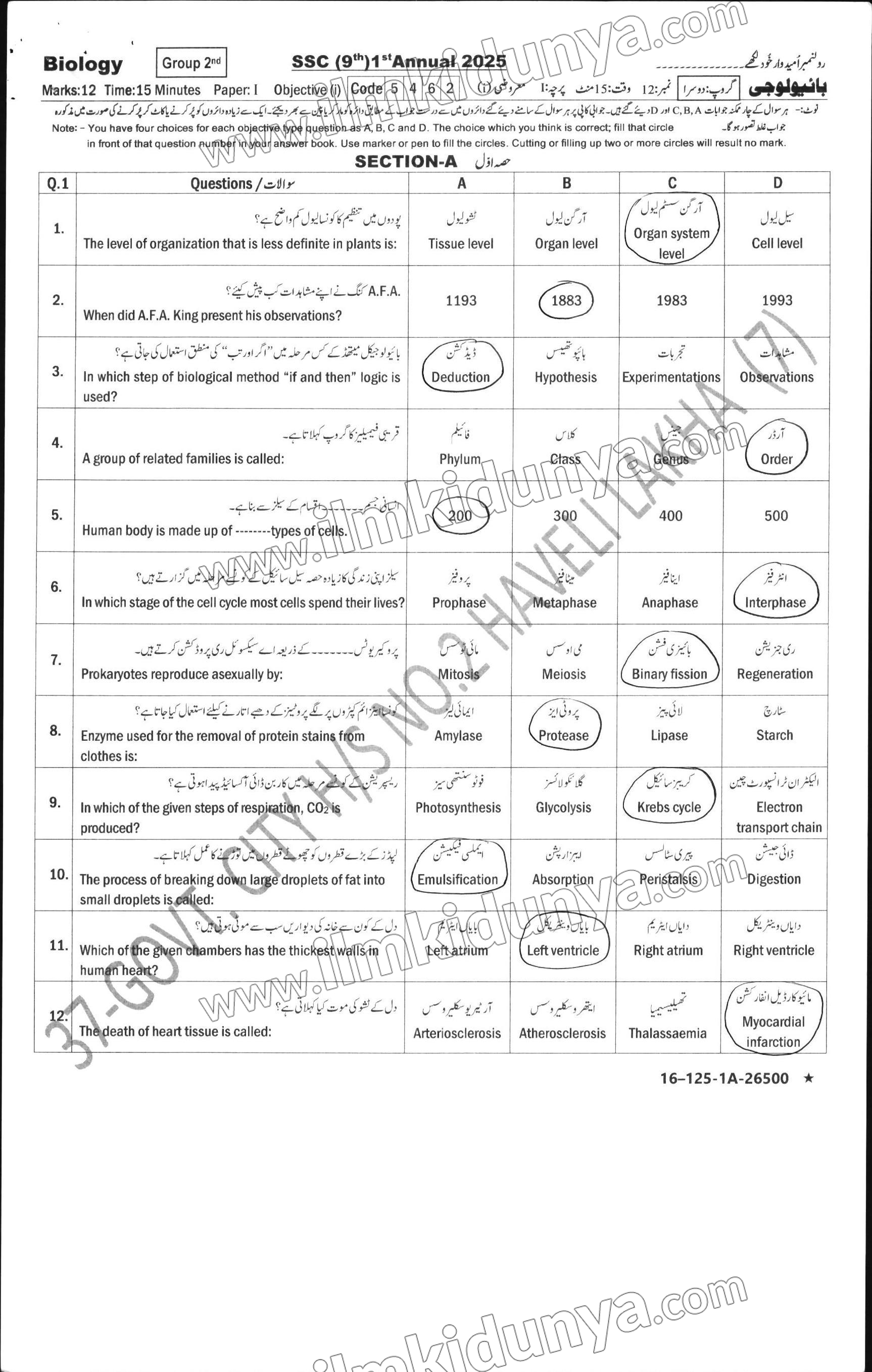 Paper Image